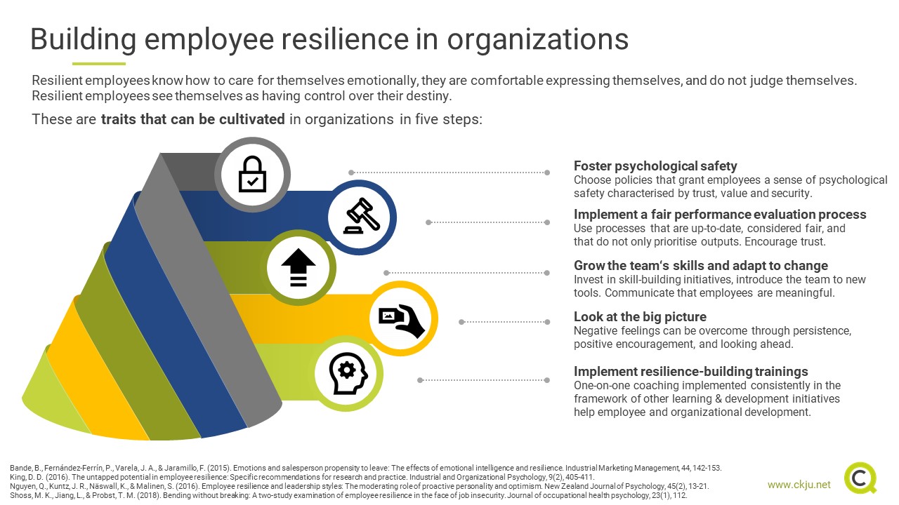 Can regulations support resilient performance? - Resilience