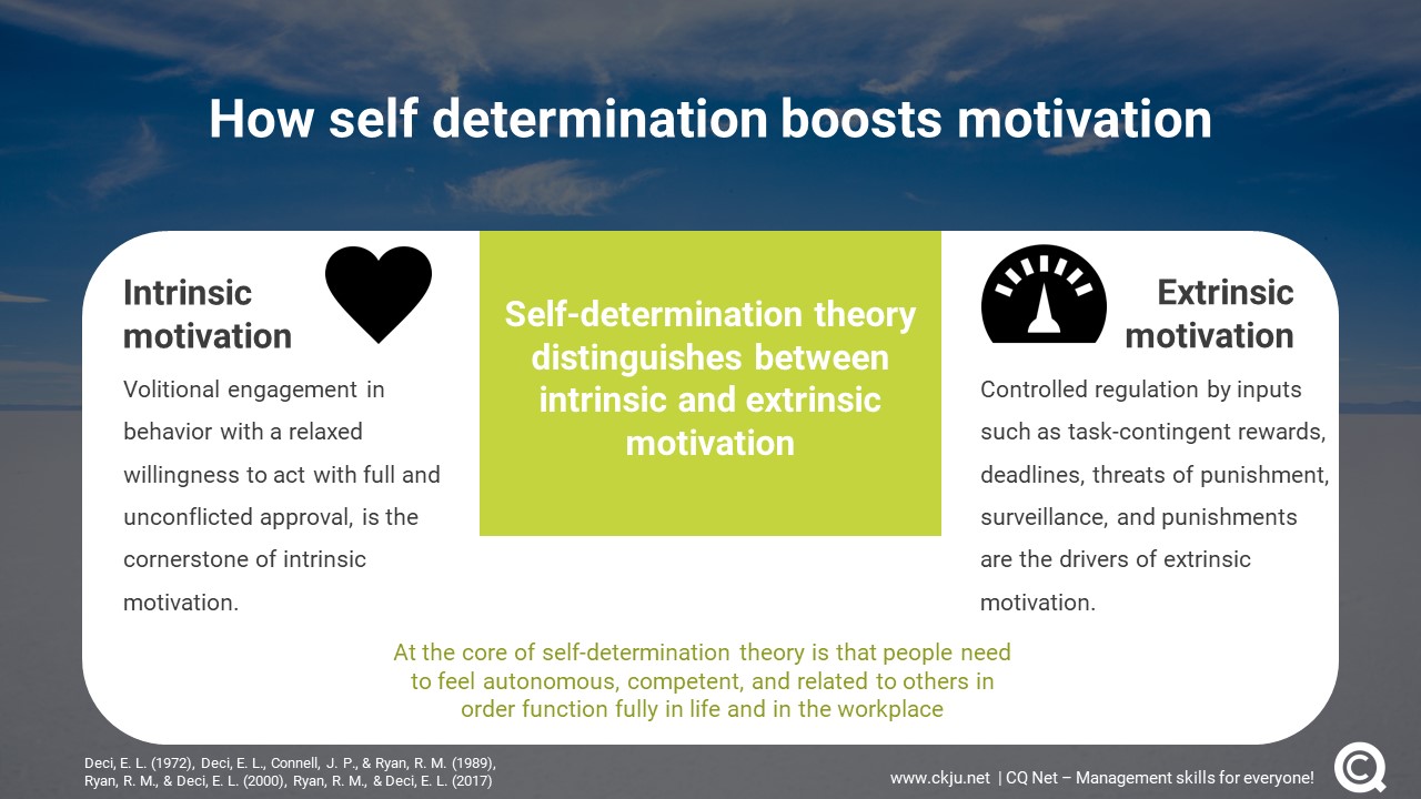 Motivation Self Determination Theory And Expectancy Theory